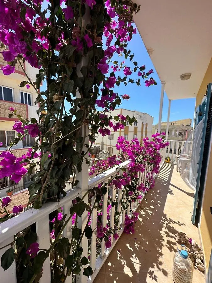 B&B Mi Ma Bo, Sal Rei, Boa Vista, Cape Verde, Free Wi-Fi 0*,