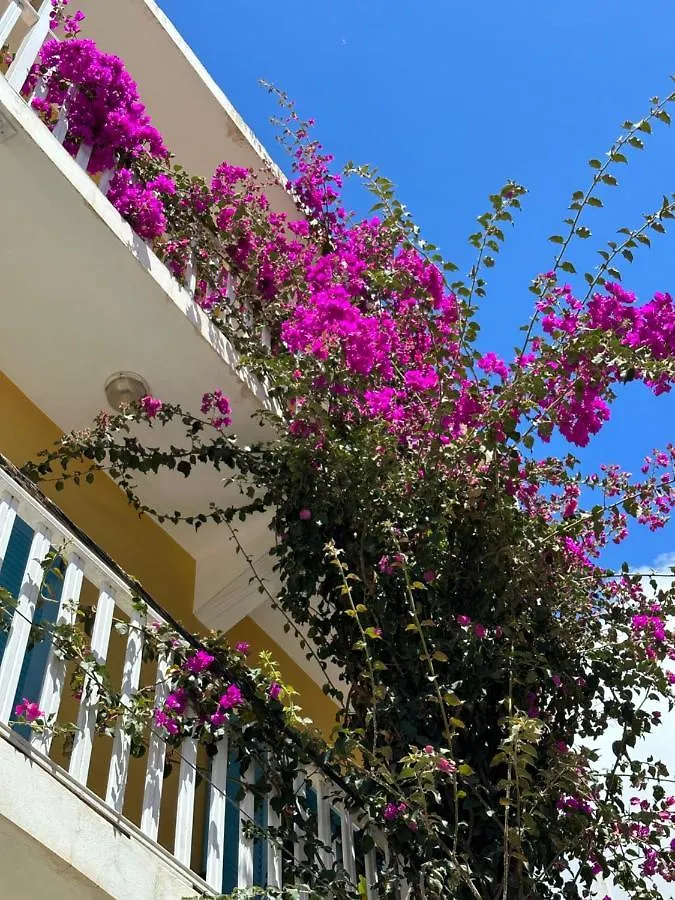 Bed & Breakfast B&B Mi Ma Bo, Sal Rei, Boa Vista, Cape Verde, Free Wi-Fi