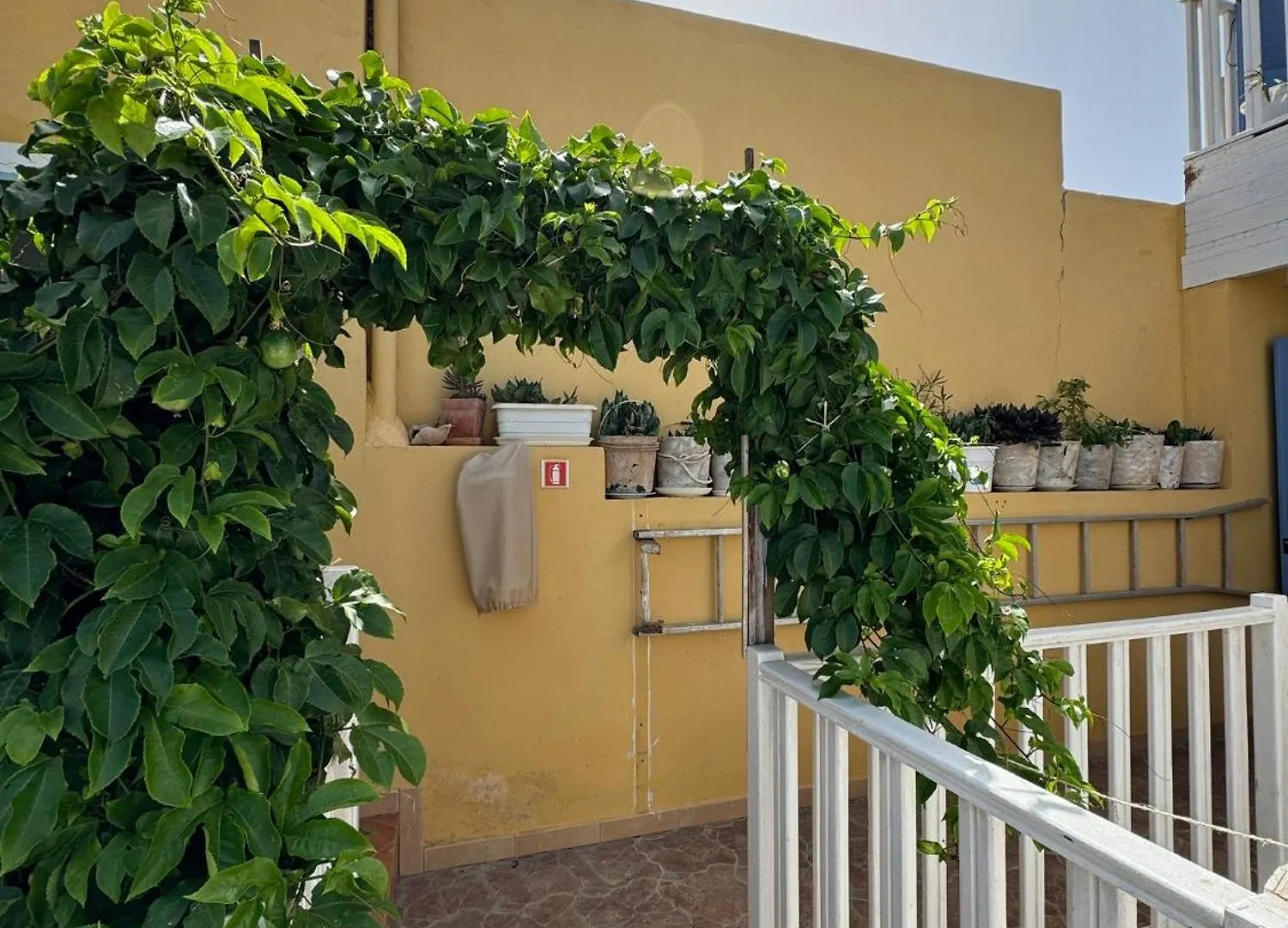 Couette-café B&B Mi Ma Bo, Sal Rei, Boa Vista, Cape Verde, Free Wi-Fi