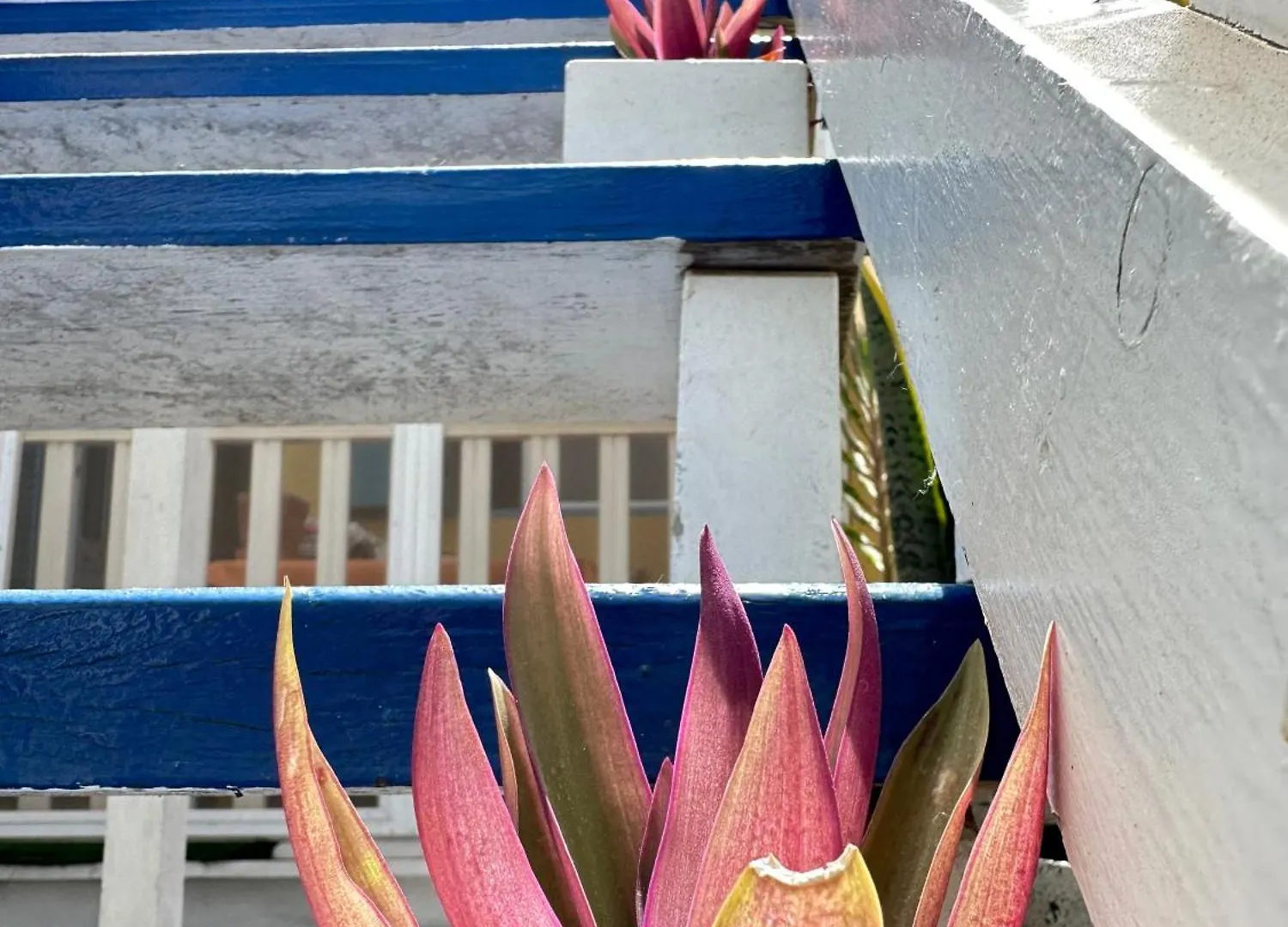 Bed & Breakfast B&B Mi Ma Bo, Sal Rei, Boa Vista, Cape Verde, Free Wi-Fi Cape Verde